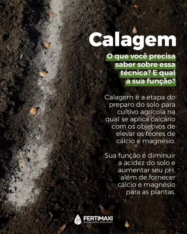 🌱Preparar o solo, oferecer mais nutrientes, elevar os teores de cálcio e magnésio, tudo isso faz parte do processo de calagem para cultivo agrícola.

🌱Você já faz essa técnica? Conta aqui para gente!

#fertilizante #npk #adubo #fertilizantenpk #agricultores milho #logística #cafeicultor #citricultor #soja #sustentabilidade #nordeste #homemdocampo #mulherdocampo #fertimaxi #segurançadotrabalho #bahia